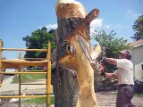 Il sculpte un arbre mort avec beaucoup de talent!