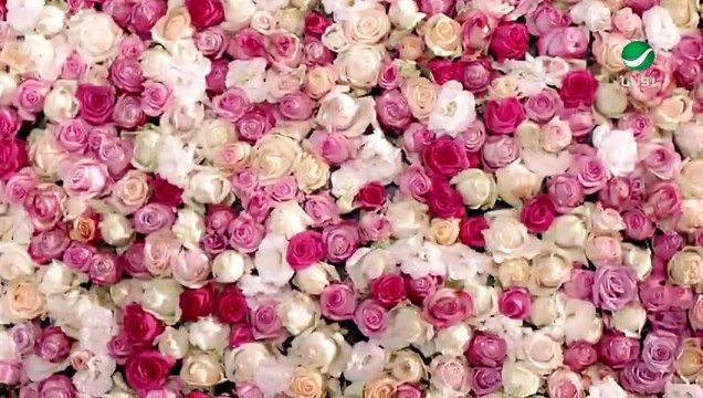 Najwa Karam - Ykhalili Albak - نجوى كرم - كليب يخليلي قلبك