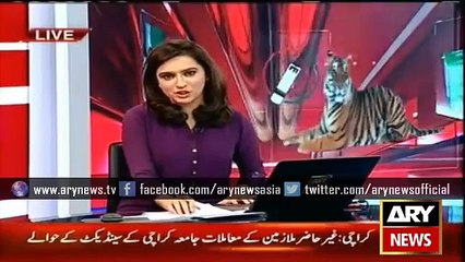 Download Video: Ary News Headlines 22 October 2015 , PMLN and PTI Lock Horns in Punjab LB Elections