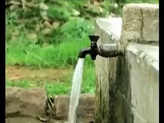 whatsapp funny video 56 Save Drinking Water
