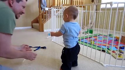 Animals Standing Up For The First Time