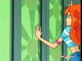 Winx cant take my eyes off you