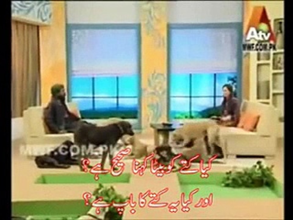 Kutto Wali Sarkar