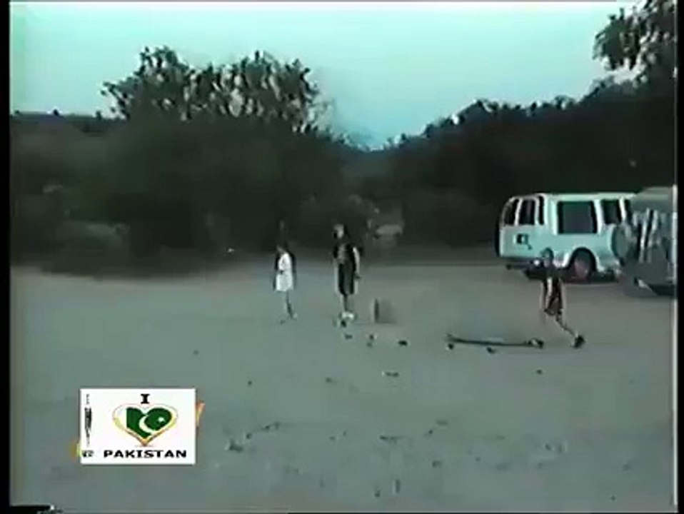 Funny Video About Dog