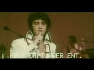 Stranger In The Crowd