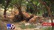 Despite spending crores, garbage piles up in Gujarat University - Tv9 Gujarati