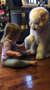 Assise en face de son chien, on ne s'attendait pas à ce qu'elle fasse ceci