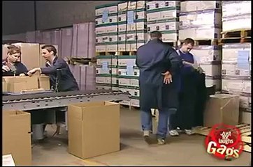 funny, laugh laugh laugh - Genius Vines