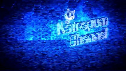 Gatos Malucos e engracados crazy and funny cats