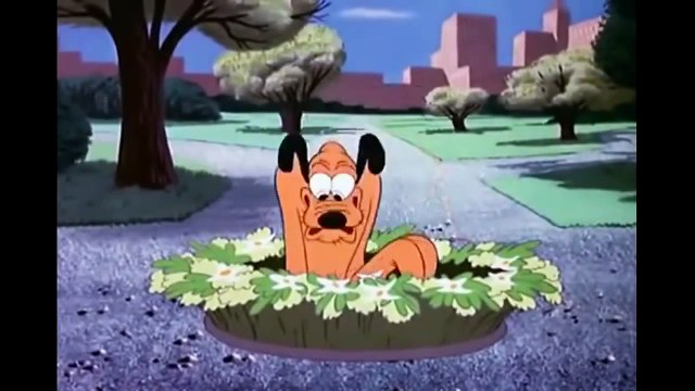 Donald Duck Ördek Çizgi Film 2014 Full