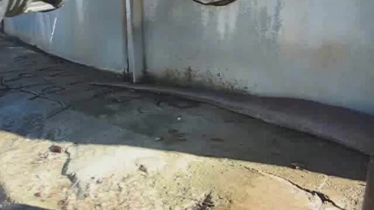 Snake scary video!!