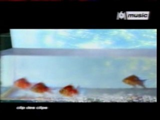 c'est pour la vie Cyril PAulus clip