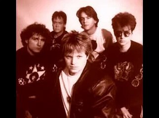 Snake Corps - This Is A Seagull