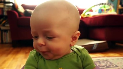 Top Funny Videos 2015 | Funny vines 2015 | Try not to laugh or grin challenge | Funny Vide