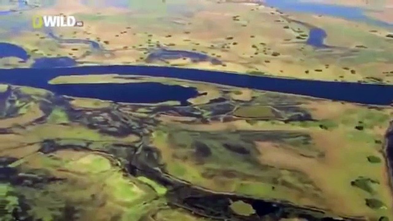 Animal Planet 2015 | Hyena - Discovery Channel, Wildlife Animals Documentary 720p HD