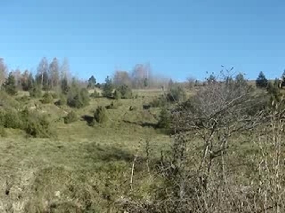 Michou Maxi crash VTT BMX DH