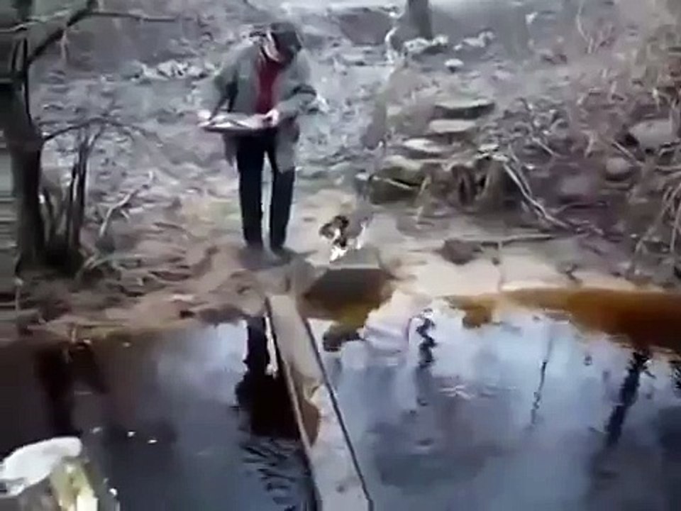 НАД КОТОМ СМЕЯЛАСЬ ДОЛГО