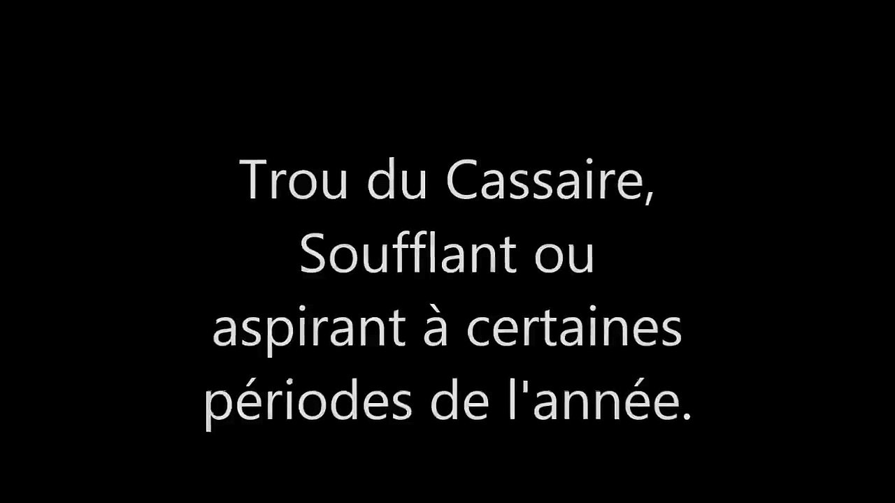 cassaire