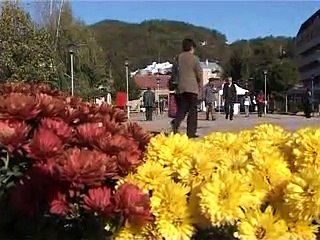 Lajmet RTB 13.11.2015