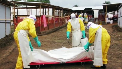 Ebola Virus Informational Video U.S. Army Medical Command