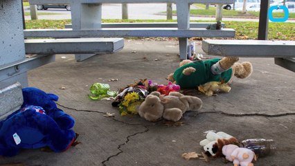 Tamir Rice Report Result That Shooting was 'reasonable'