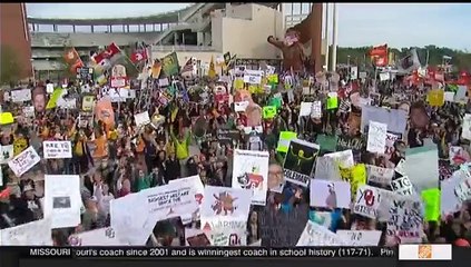 174 Ol Crimson Signs