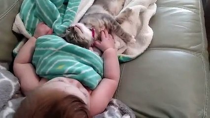 Bebek ve kedinin birlikte uykudan uyanma anları