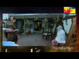 Gul-e-Rana Episode 3 Promo HUM TV Drama 14 Nov 2015