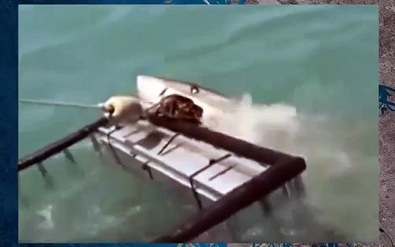 Final Look at Jaws The Ride Universal Studios Orlando Florida Complete Attraction On-Ride