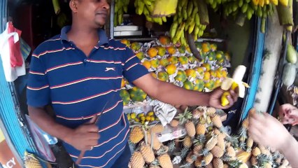 Sri Lanka 2015 trip report