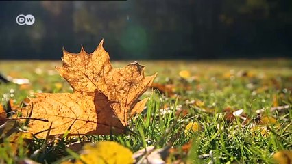 Three tips for Berlin | Discover Germany