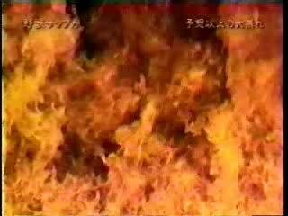 Bob Sapp VS Cyril Abidi