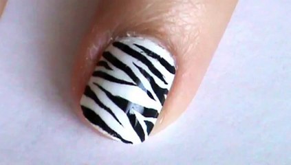 Kite Nail Art Tutorial Zebra Nail Art Design