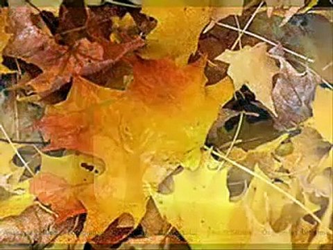 Seslibirnaz-ibrahim Sadri-Ve Ben Seni Çok Özledim