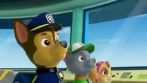 Paw Patrol English Pup Pup Goose Pup Pup and Away part 9 brief episode