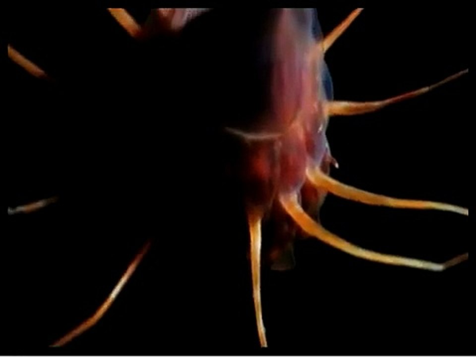 Porcupine Tree - The Start Of Something Beautiful