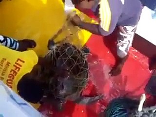 Delikanlı, adam gibi balıkçılar bunlar!!! Adamın dibi!!!