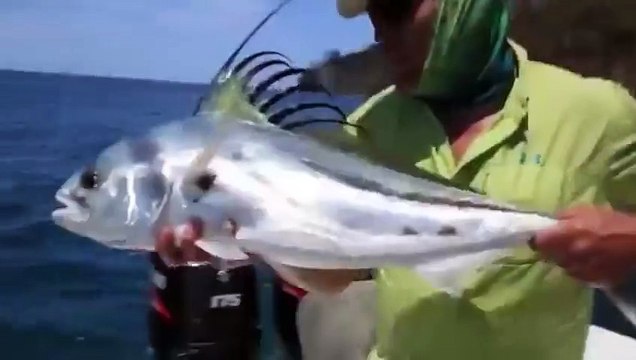 Denizde yaratık avı!!! Ne güzel bir gün!!! Balıklar şahane!!!