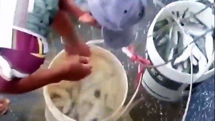 Bu yaşımda böyle bir balık yakalama görmedim!!! KURNAZCA!!!