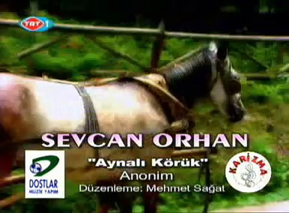 Sevcan Orhan -  Aynalı Körük