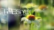 Stylish Glass Slideshow - After Effects Project Files | VideoHive 13393220