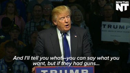 Donald Trump Says More Guns Would've Helped In Paris