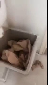 В ведре устроили мини торнадо