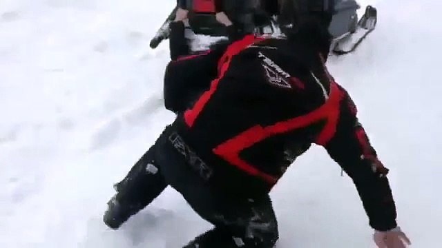 Кандидат на премию Дарвина