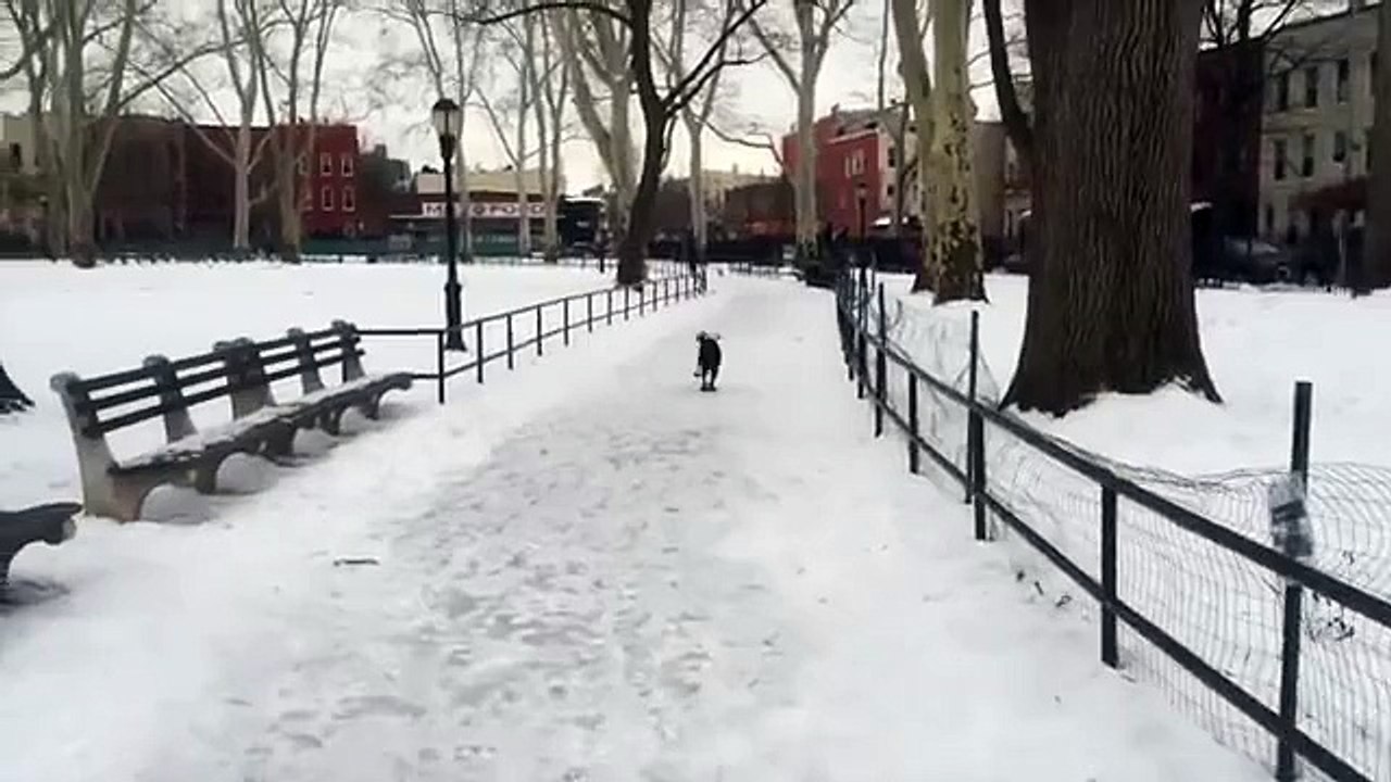 Карма