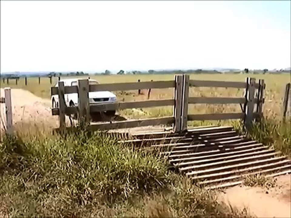 Креативный фермер