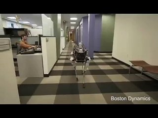 Lorsque vous êtes un chien robot, et personne ne vous aime