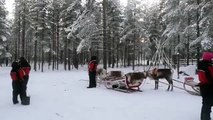 Du lịch Bắc Âu - Trải nghiệm trên chiếc xe tuần lộc kéo tại Rovaniemi 2014