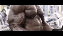 Bodybuilding Motivation - BICEPS & TRICEPS WORKOUT