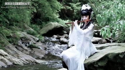 Beautiful Chinese Instrumental Music【81】Flower